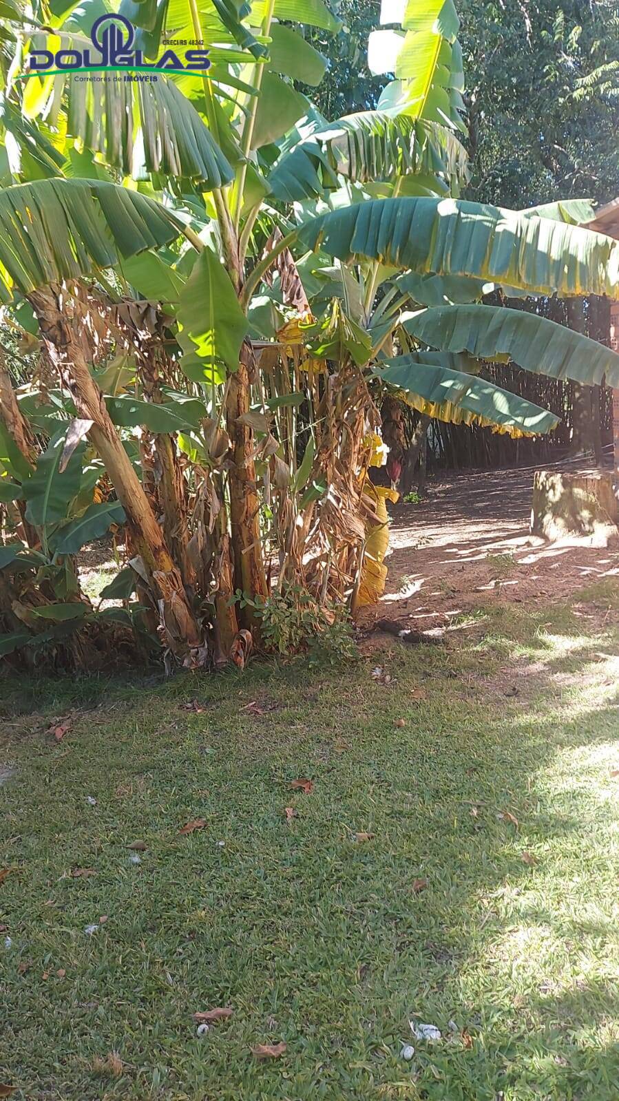 Casa, 1 quarto - Foto 5