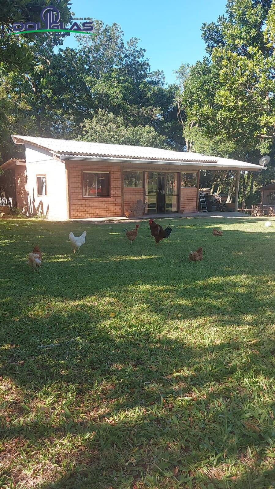 Casa, 1 quarto - Foto 4