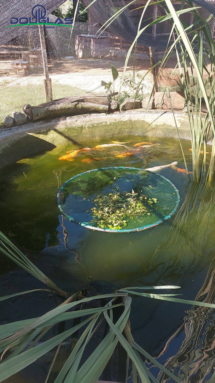 Casa, 1 quarto - Foto 12