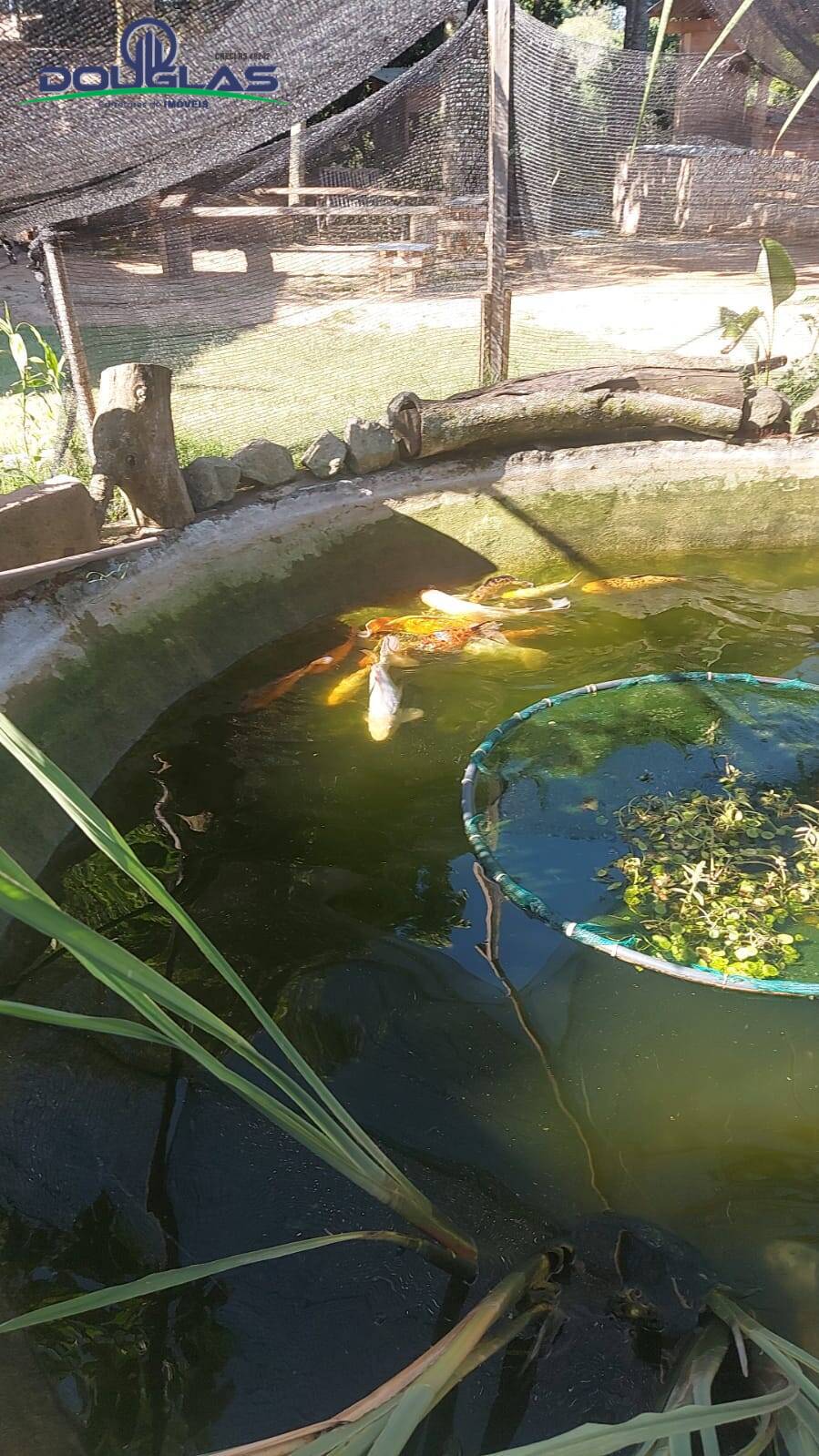 Casa, 1 quarto - Foto 11