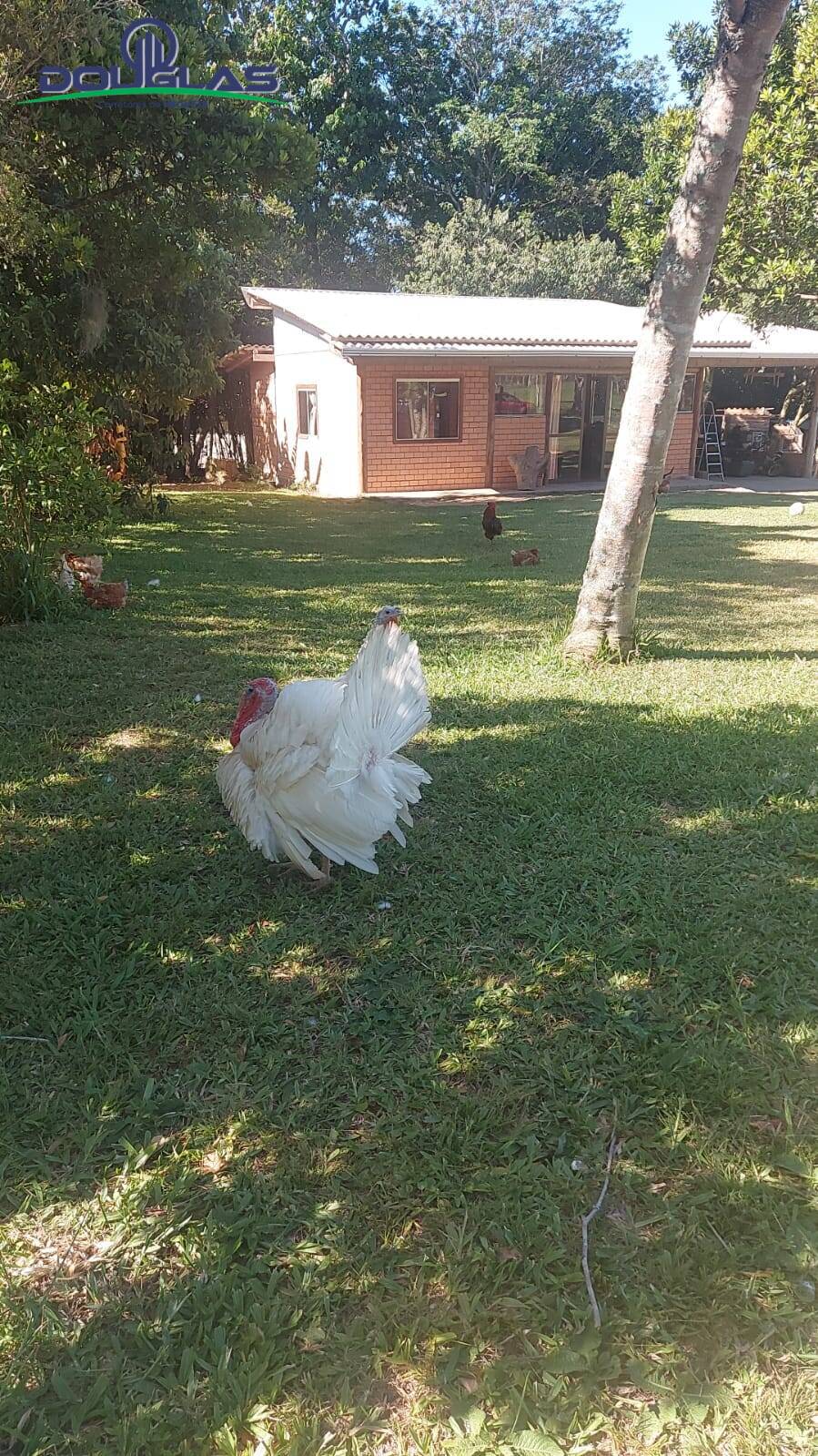 Casa, 1 quarto - Foto 13