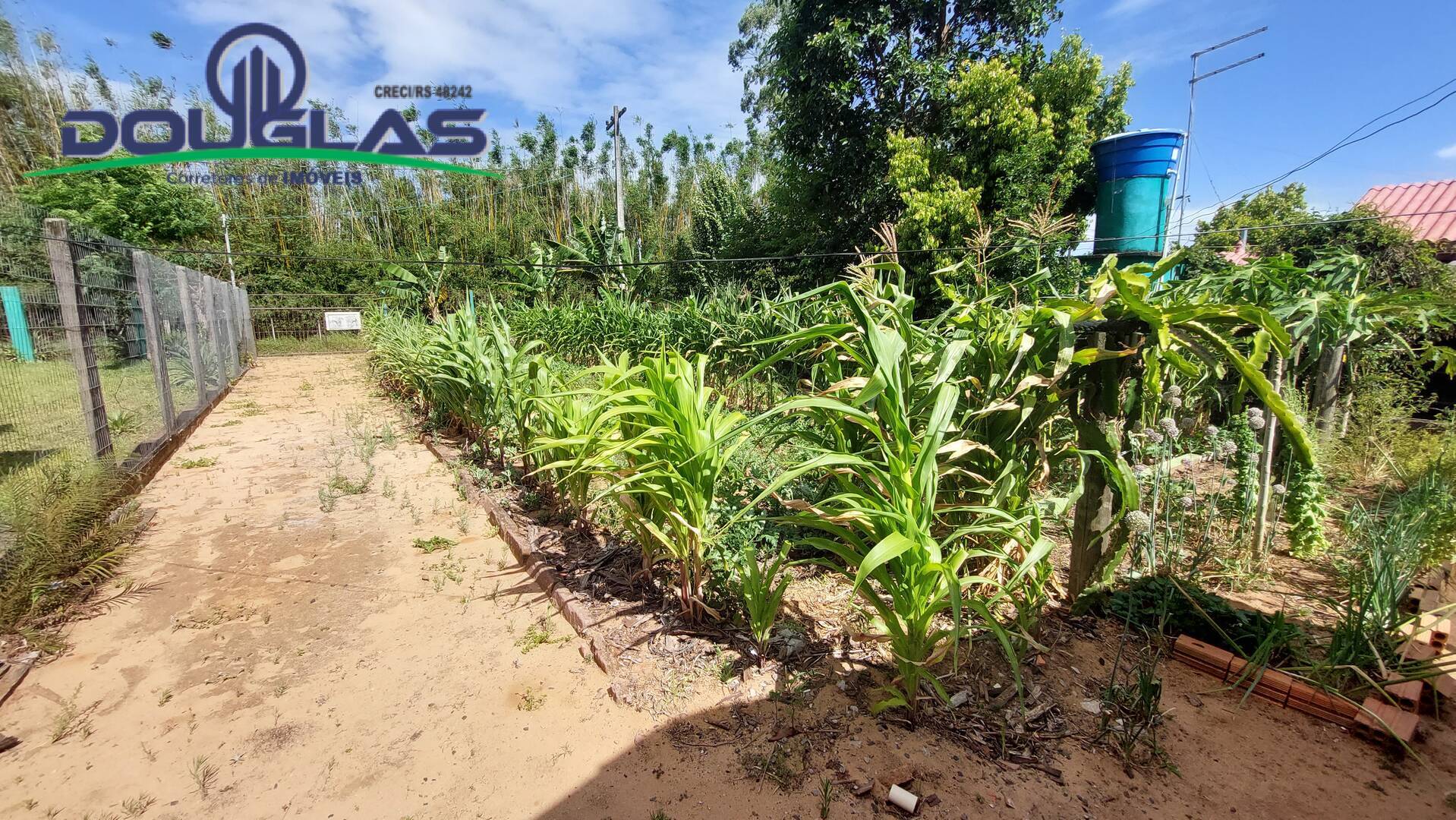 Terreno, 440 m² - Foto 2