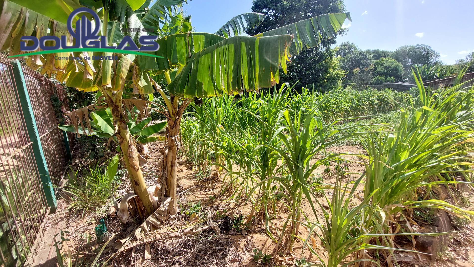 Terreno, 440 m² - Foto 3