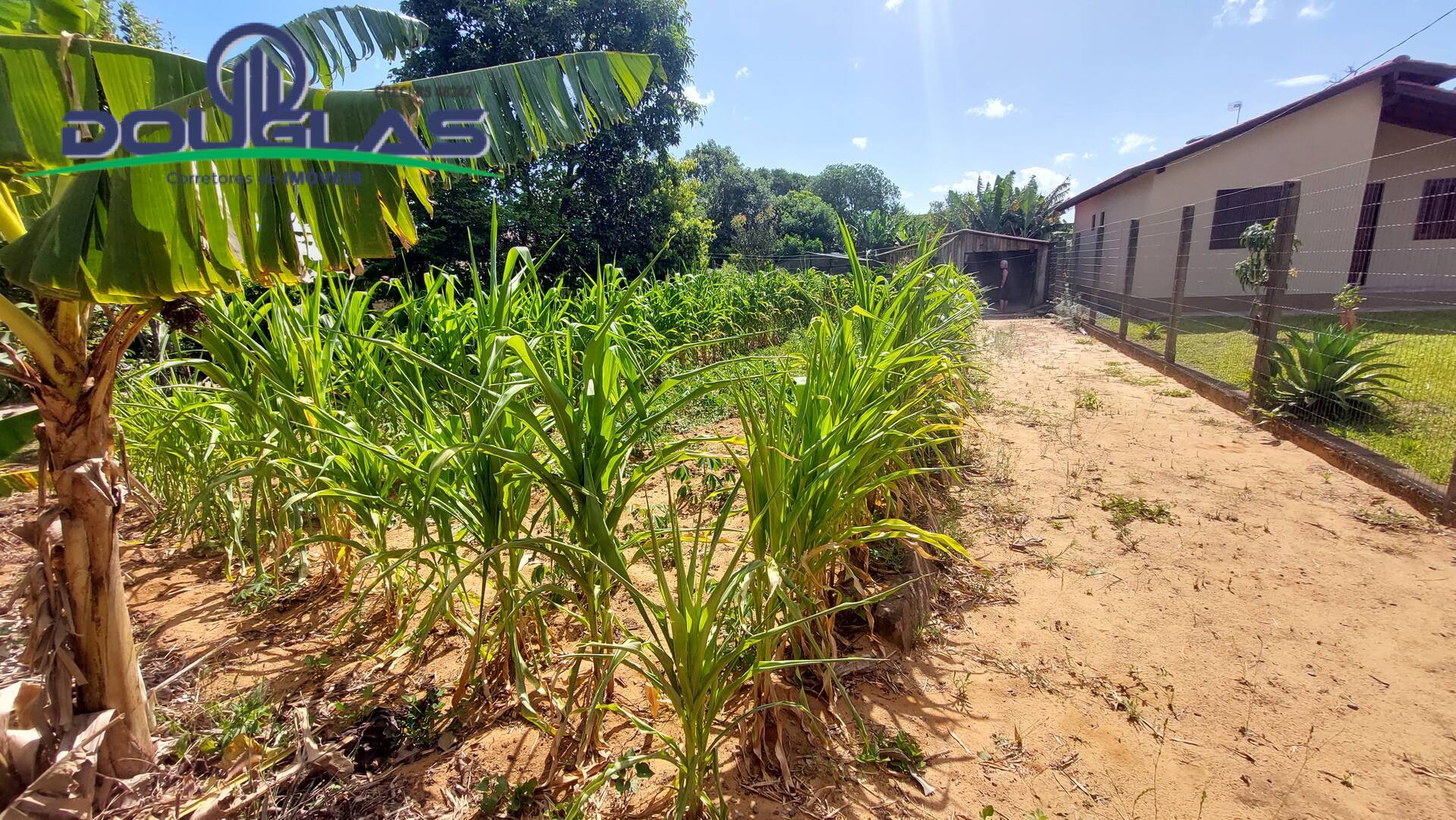 Terreno, 440 m² - Foto 4