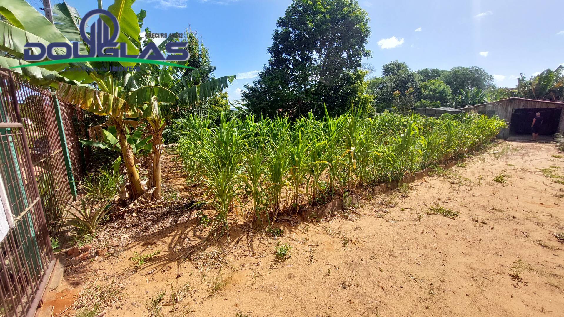 Terreno, 440 m² - Foto 5