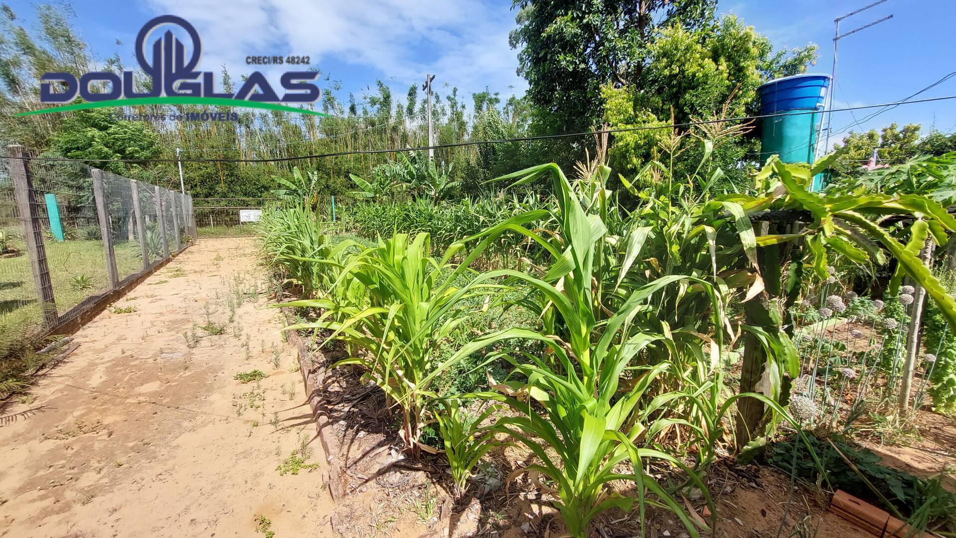 Terreno, 440 m² - Foto 6