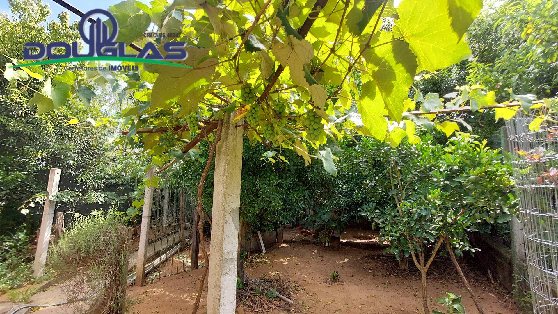 Casa, 2 quartos, 90 m² - Foto 23