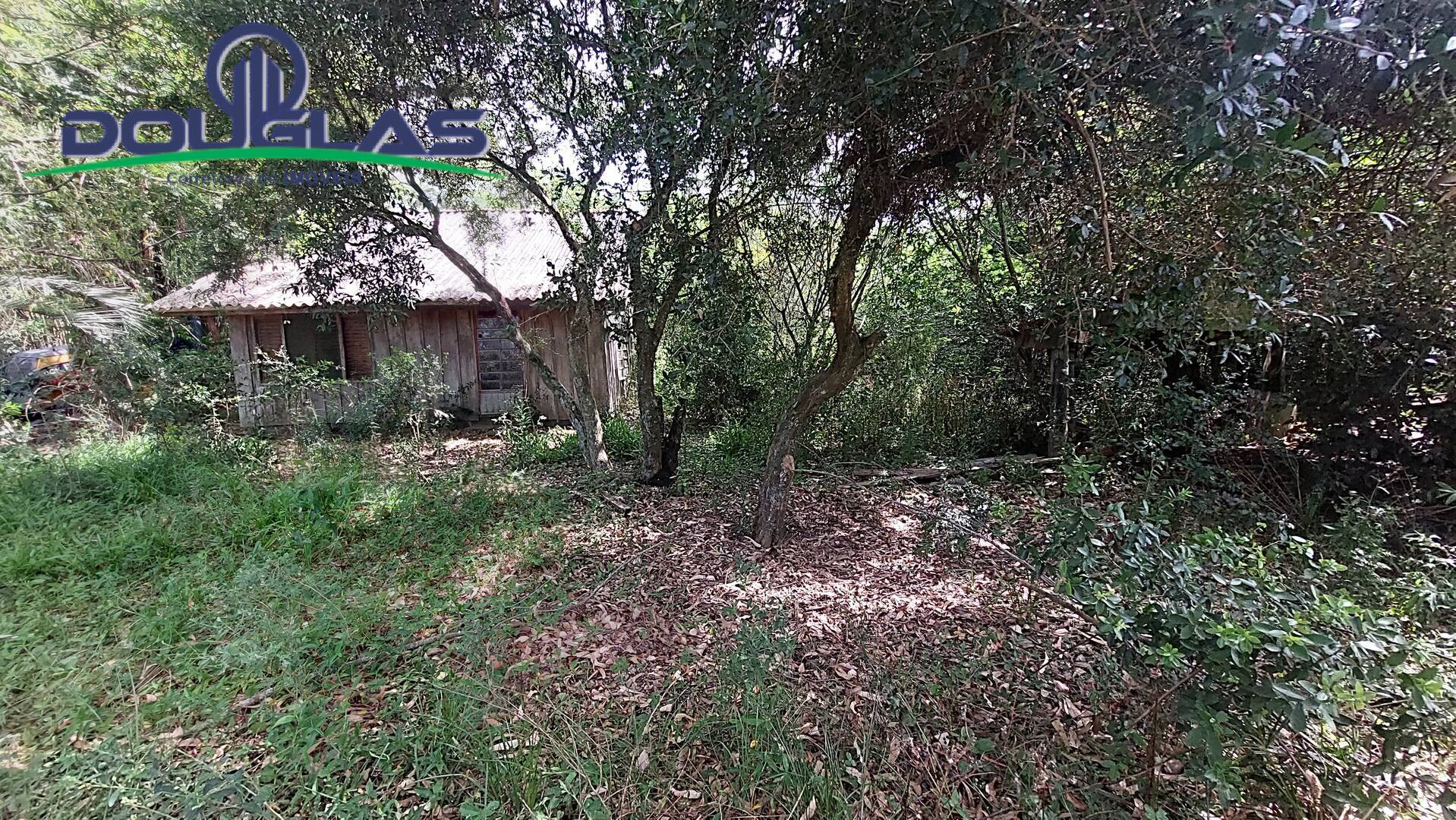 Terreno, 2 hectares - Foto 1