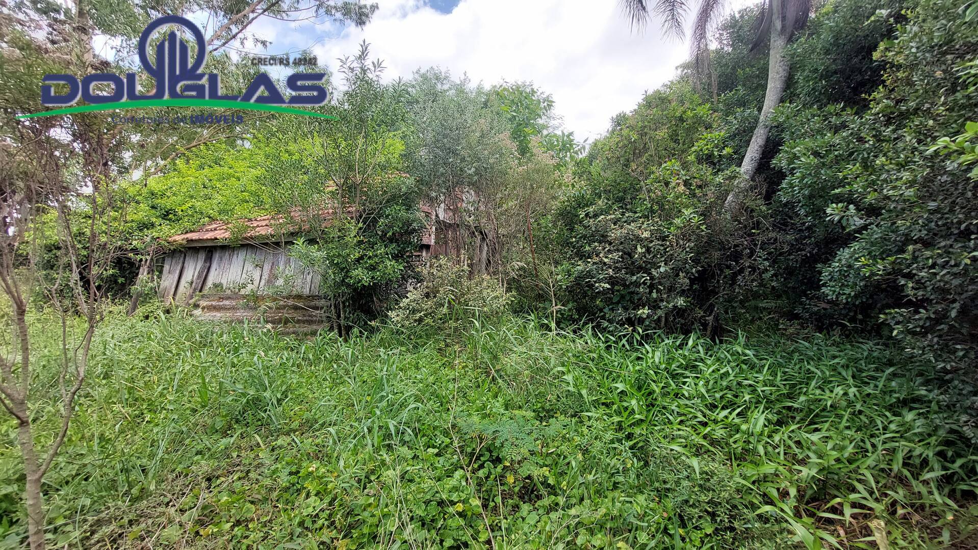 Terreno, 2 hectares - Foto 2