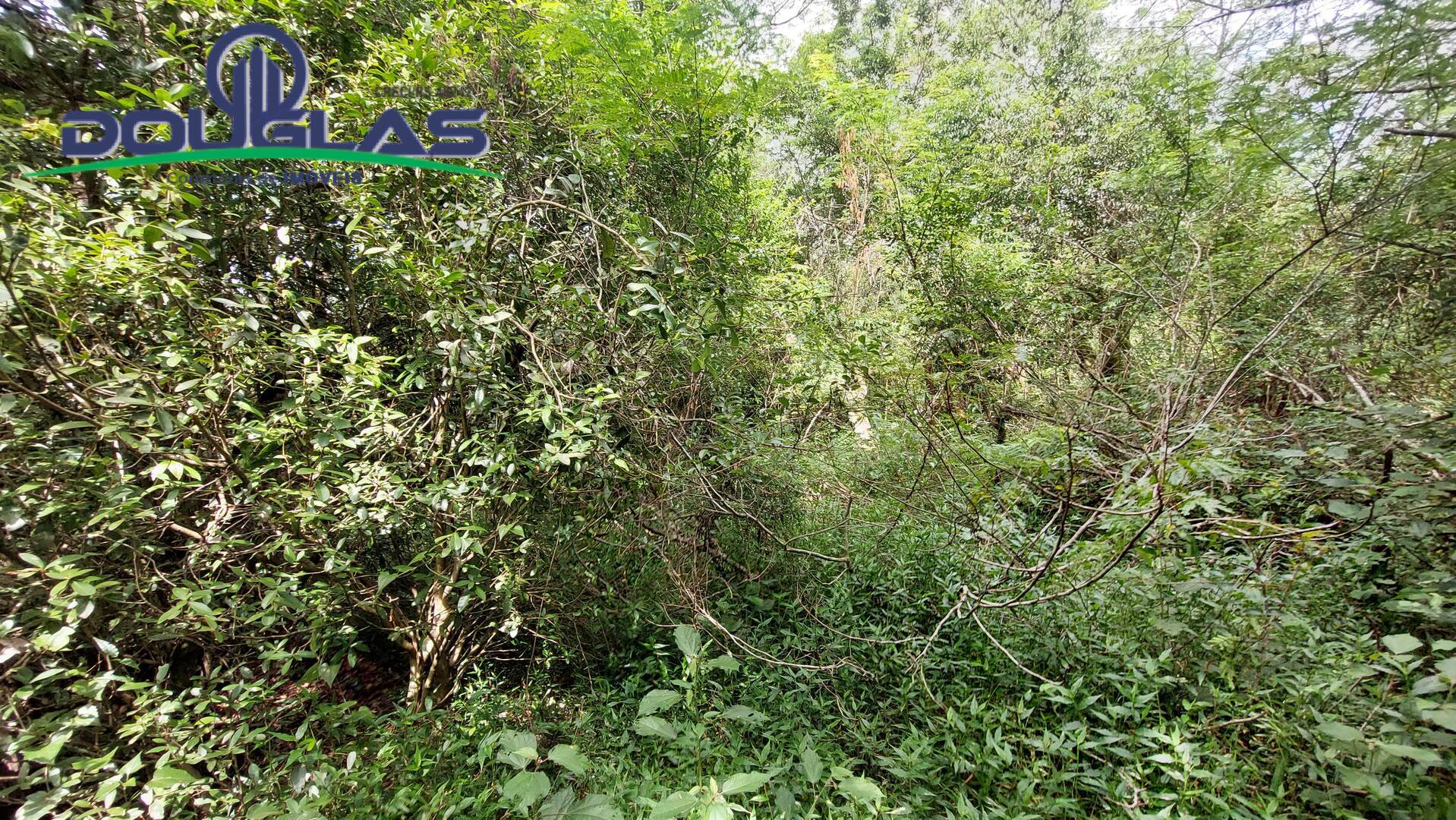 Terreno, 2 hectares - Foto 7