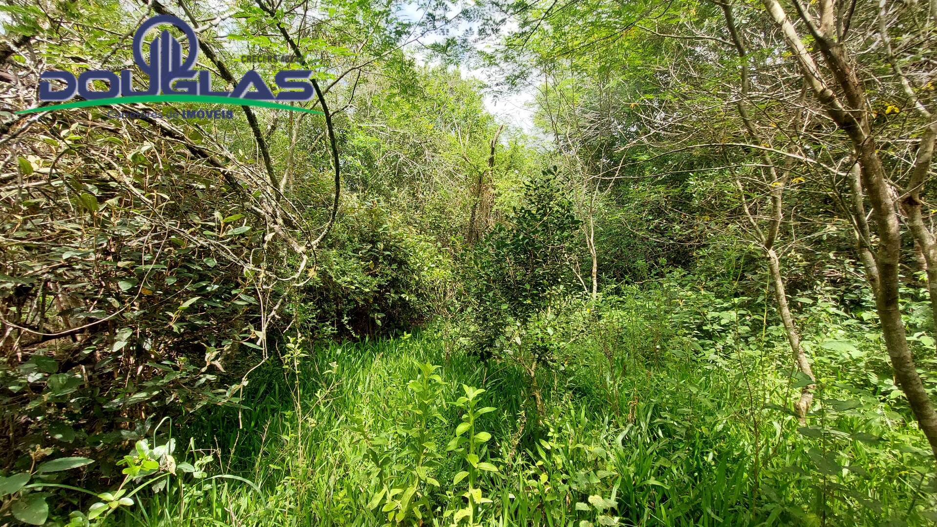 Terreno, 2 hectares - Foto 9