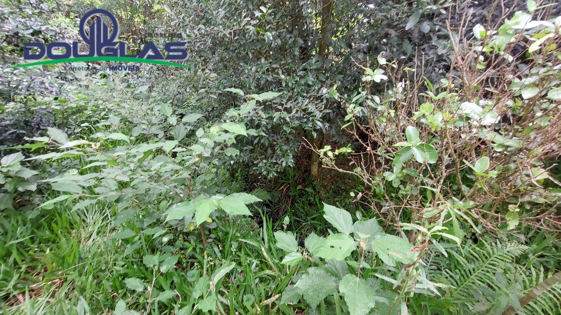 Terreno, 2 hectares - Foto 10