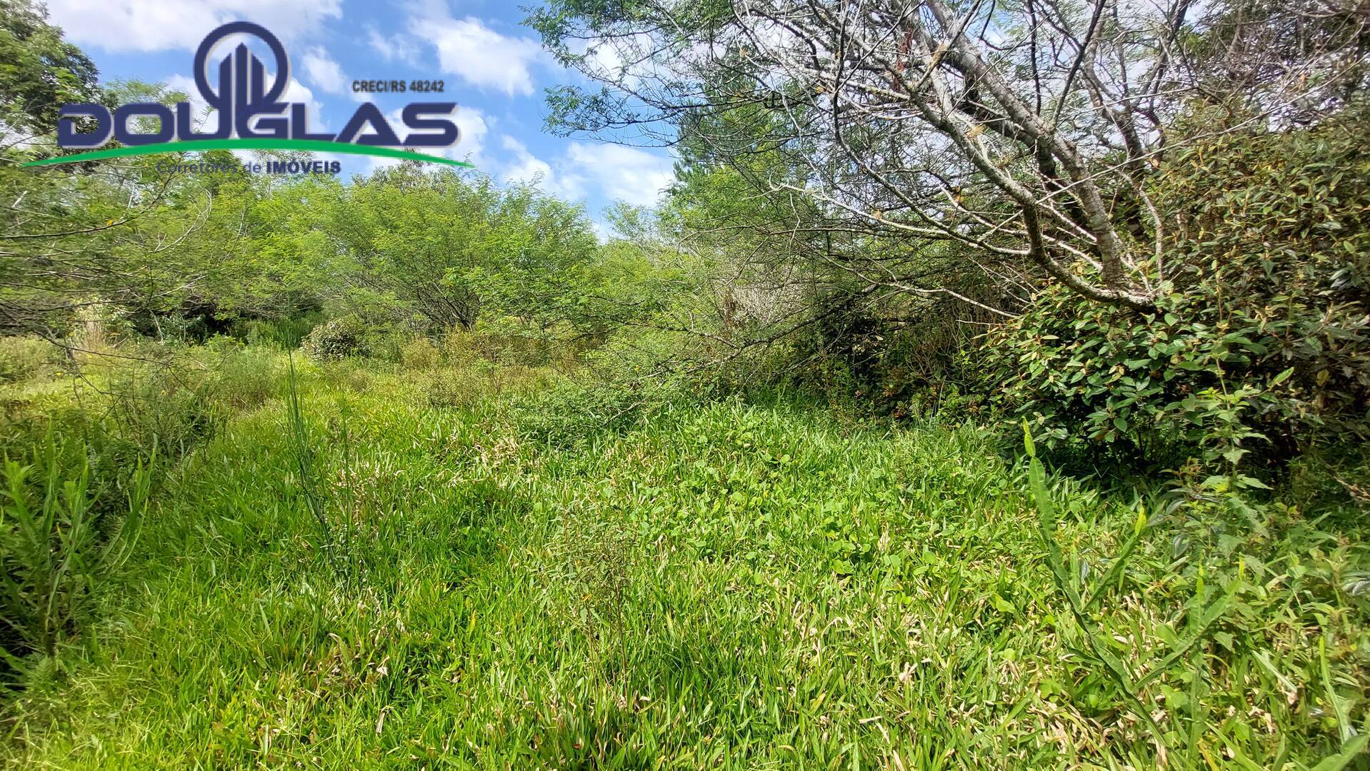 Terreno, 2 hectares - Foto 11