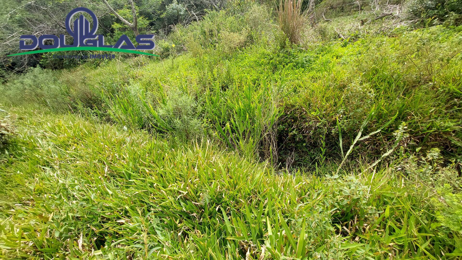 Terreno, 2 hectares - Foto 12