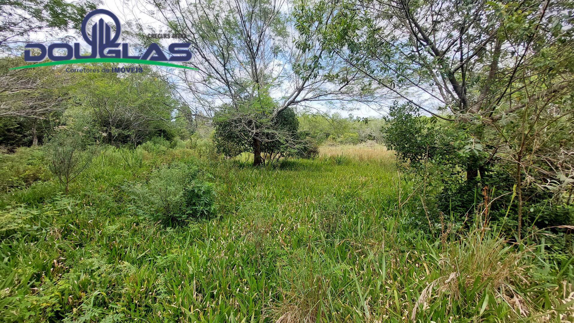 Terreno, 2 hectares - Foto 13