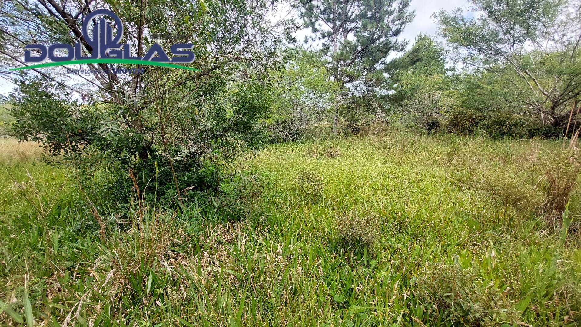 Terreno, 2 hectares - Foto 14