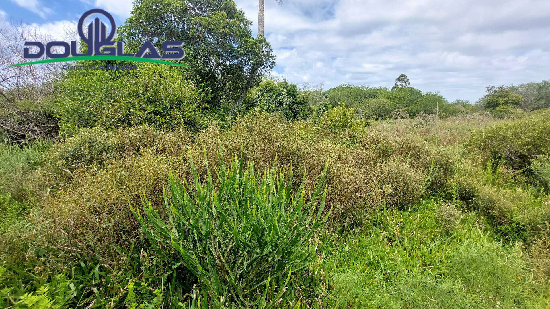 Terreno, 2 hectares - Foto 15