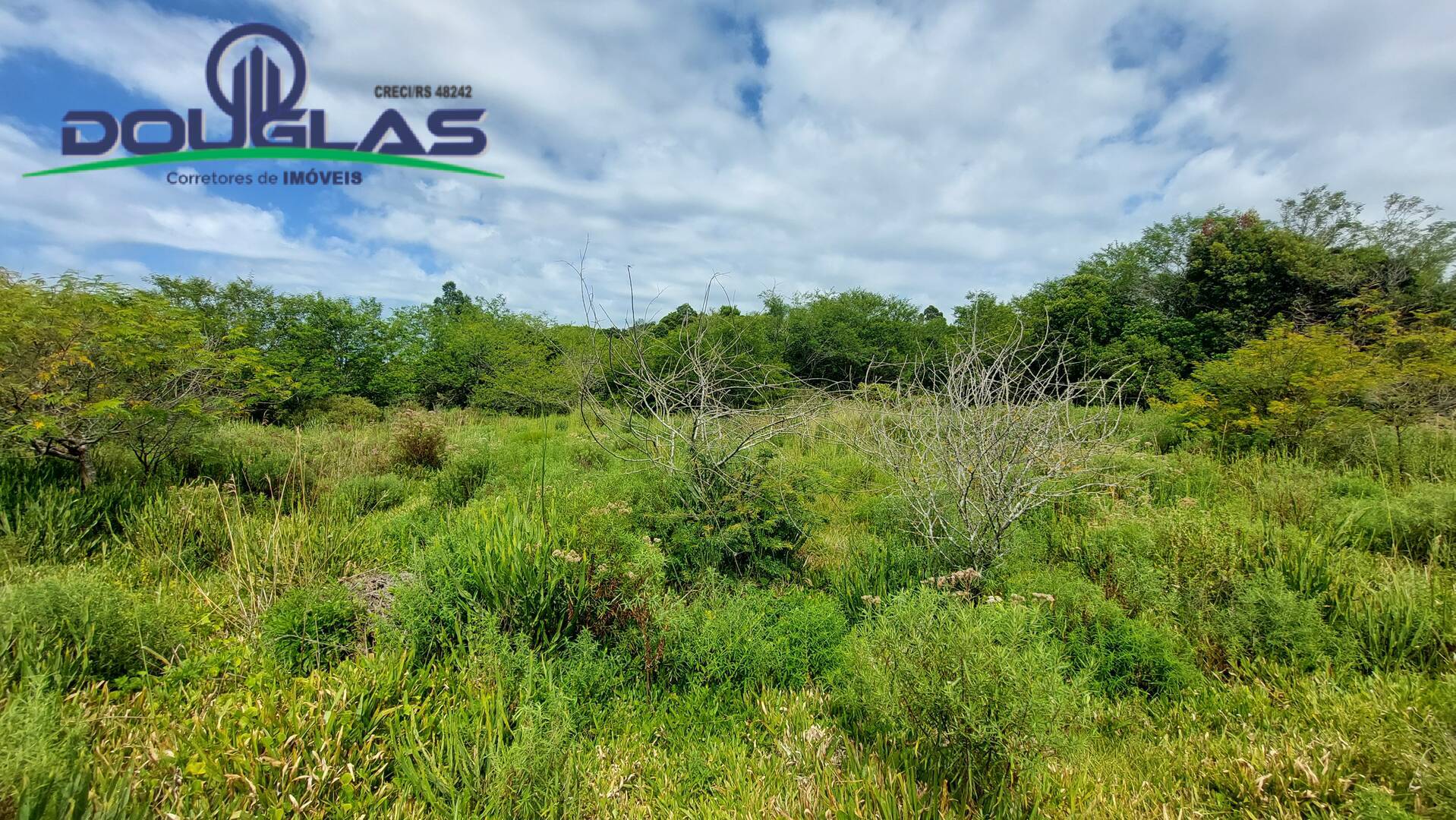 Terreno, 2 hectares - Foto 16