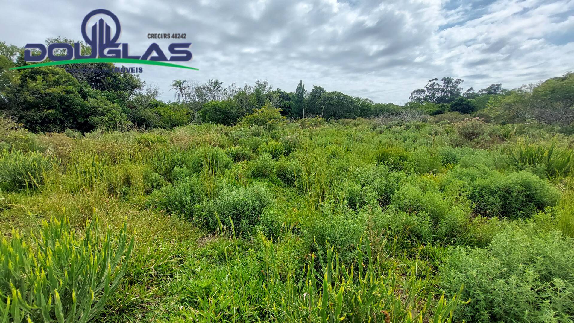 Terreno, 2 hectares - Foto 19