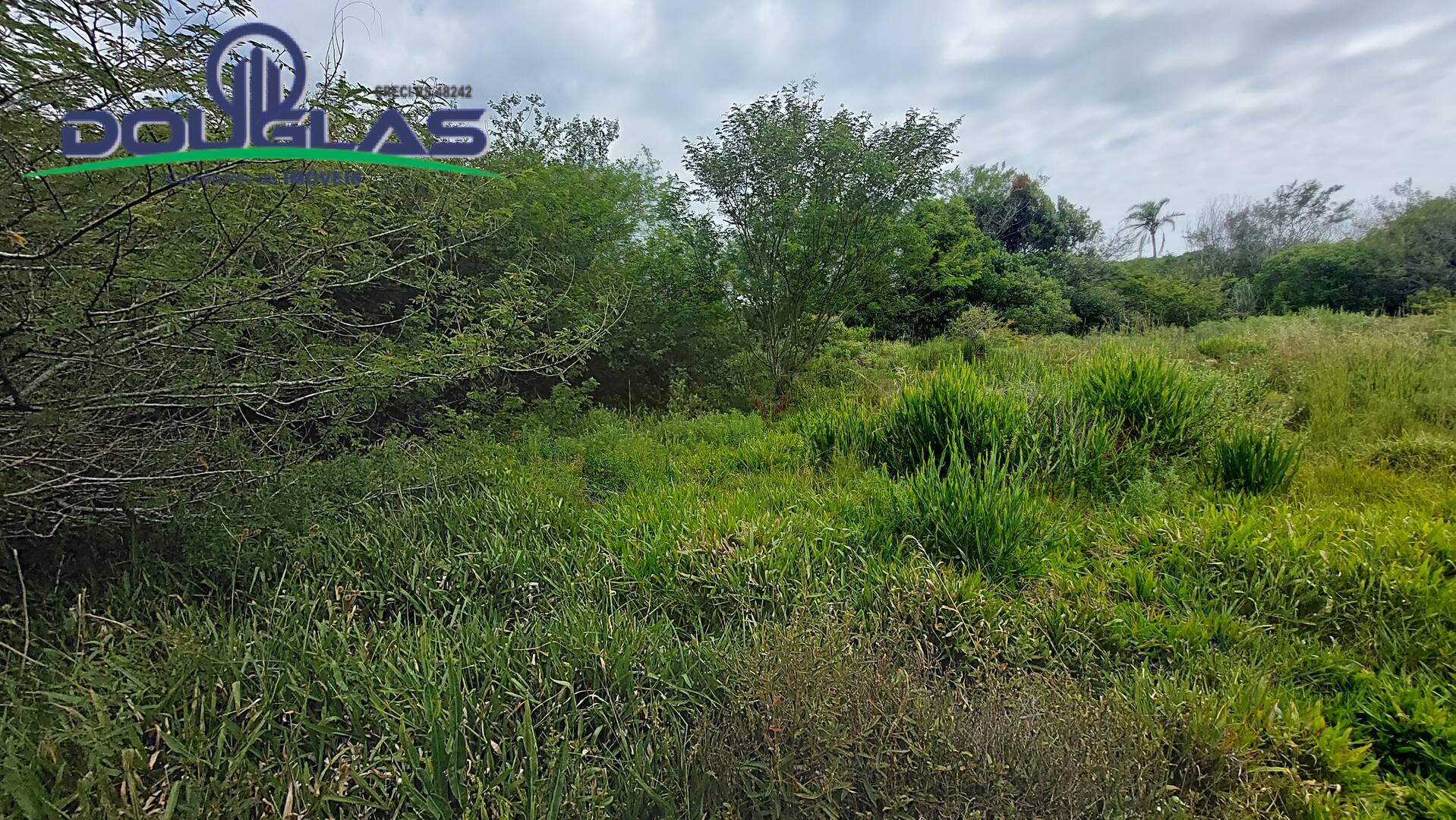 Terreno, 2 hectares - Foto 20