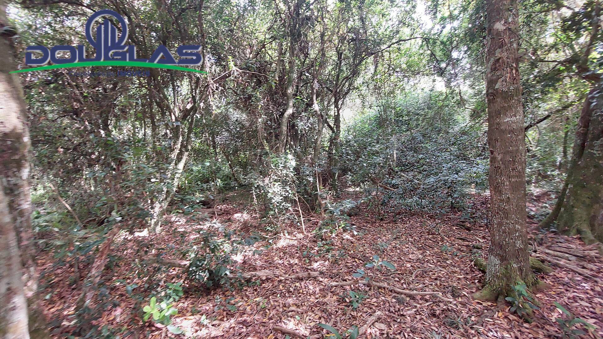 Terreno, 2 hectares - Foto 21