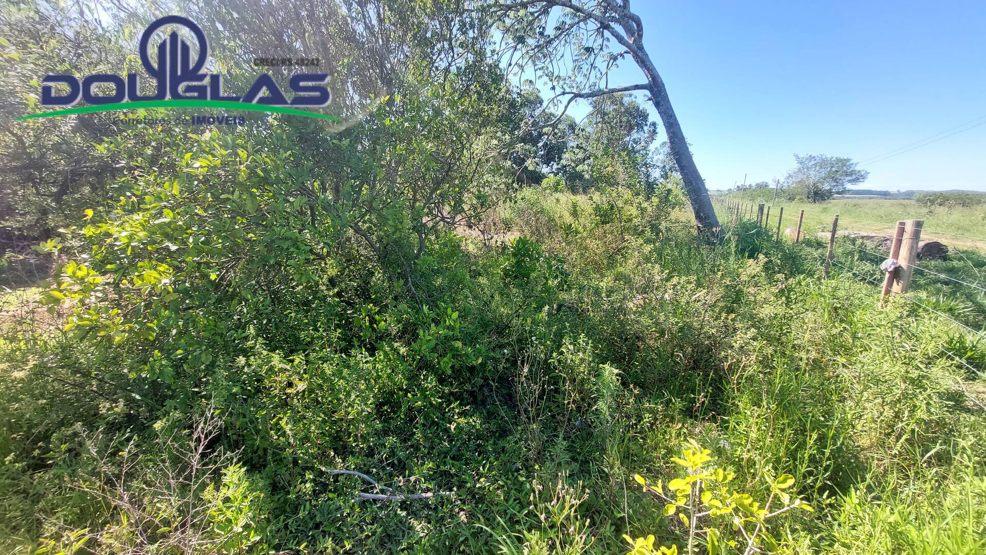 Prédio Inteiro, 230 m² - Foto 24