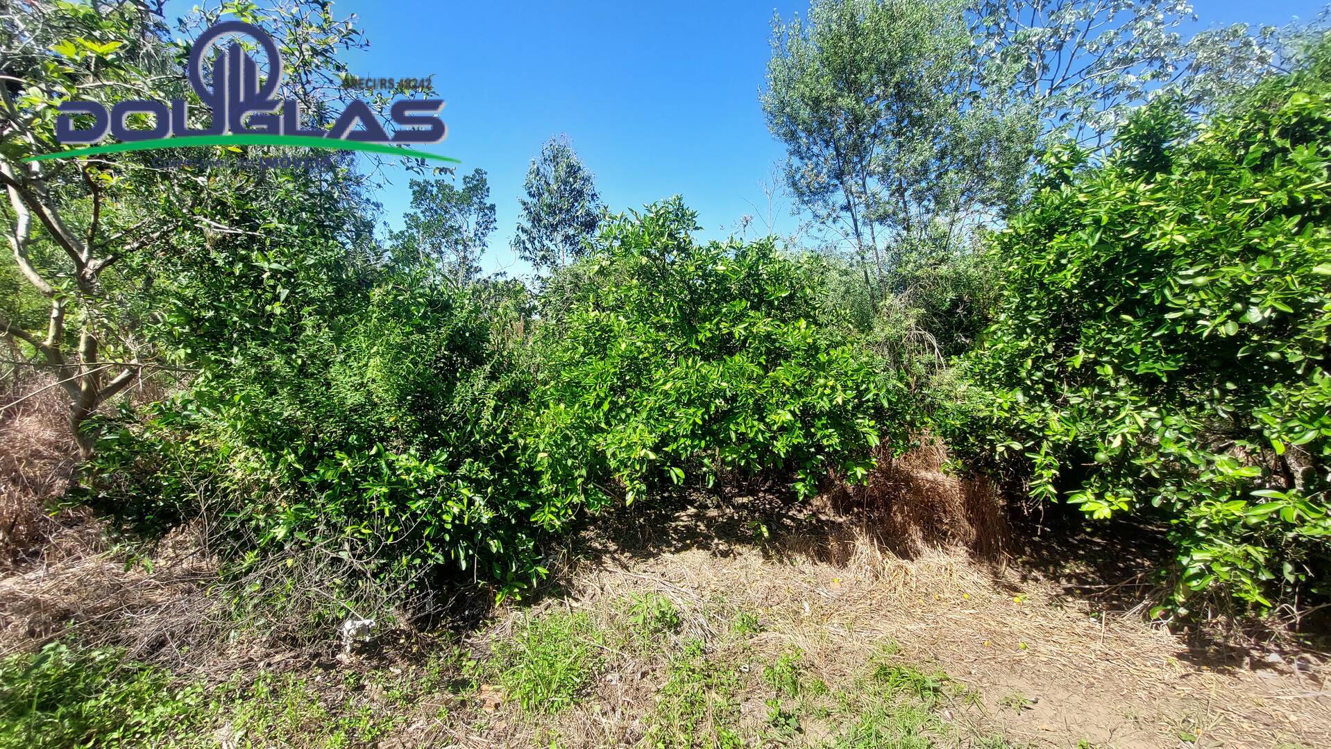 Prédio Inteiro, 230 m² - Foto 25