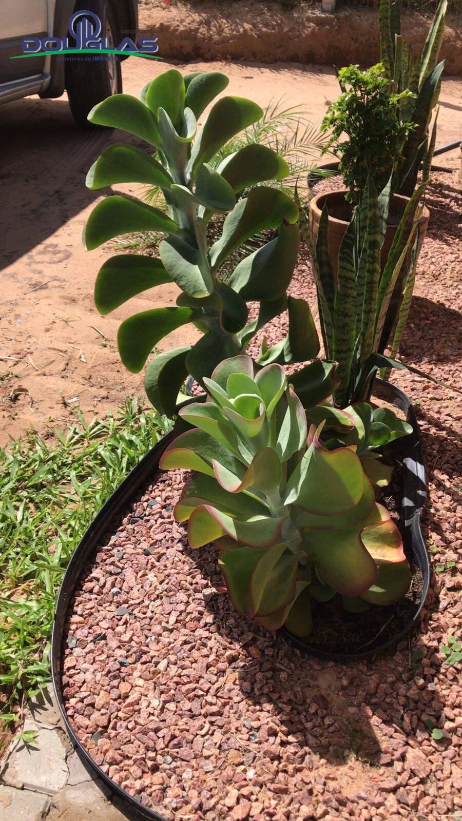 Casa, 2 quartos, 130 m² - Foto 14