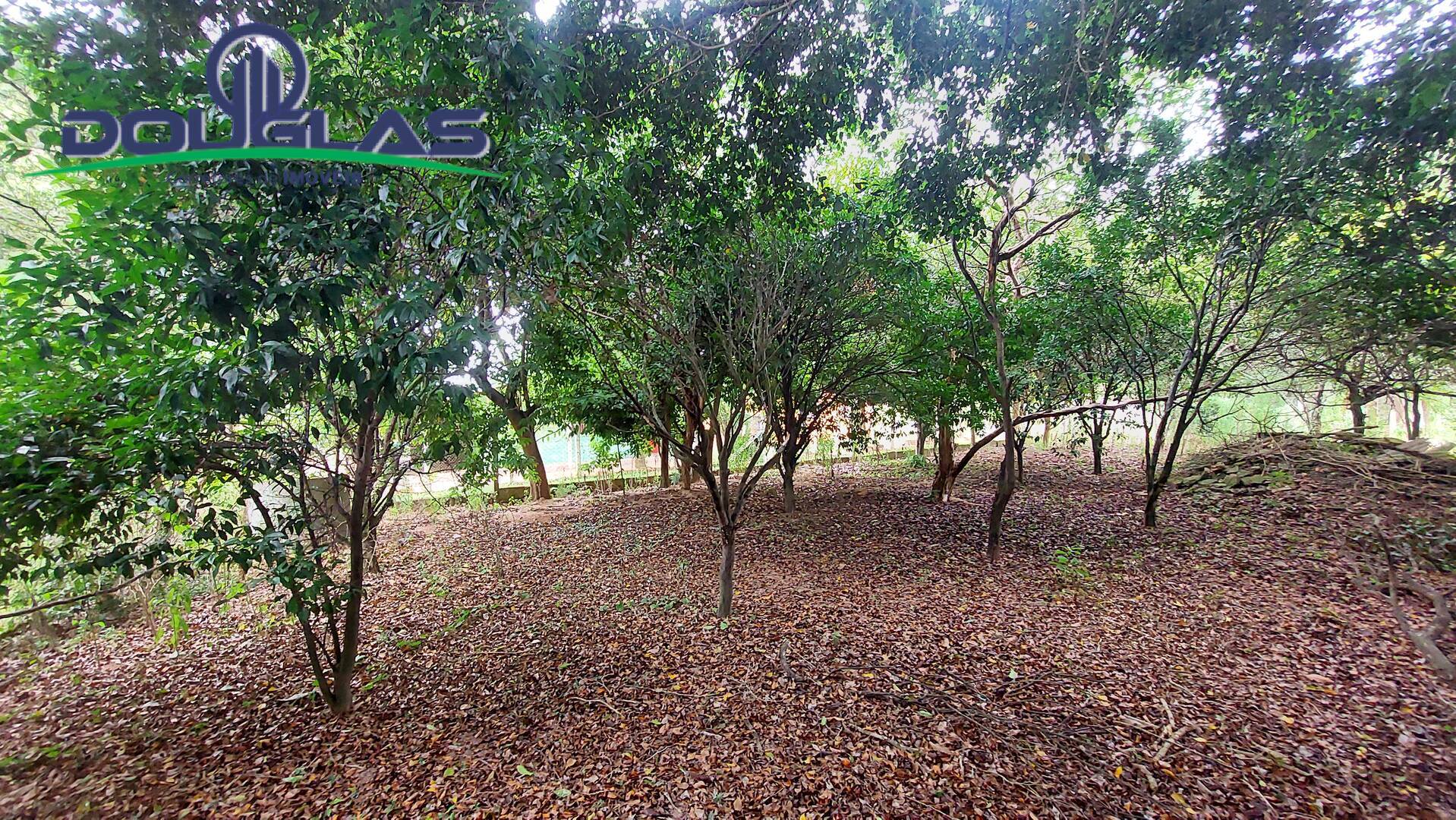 Casa, 2 quartos, 130 m² - Foto 21