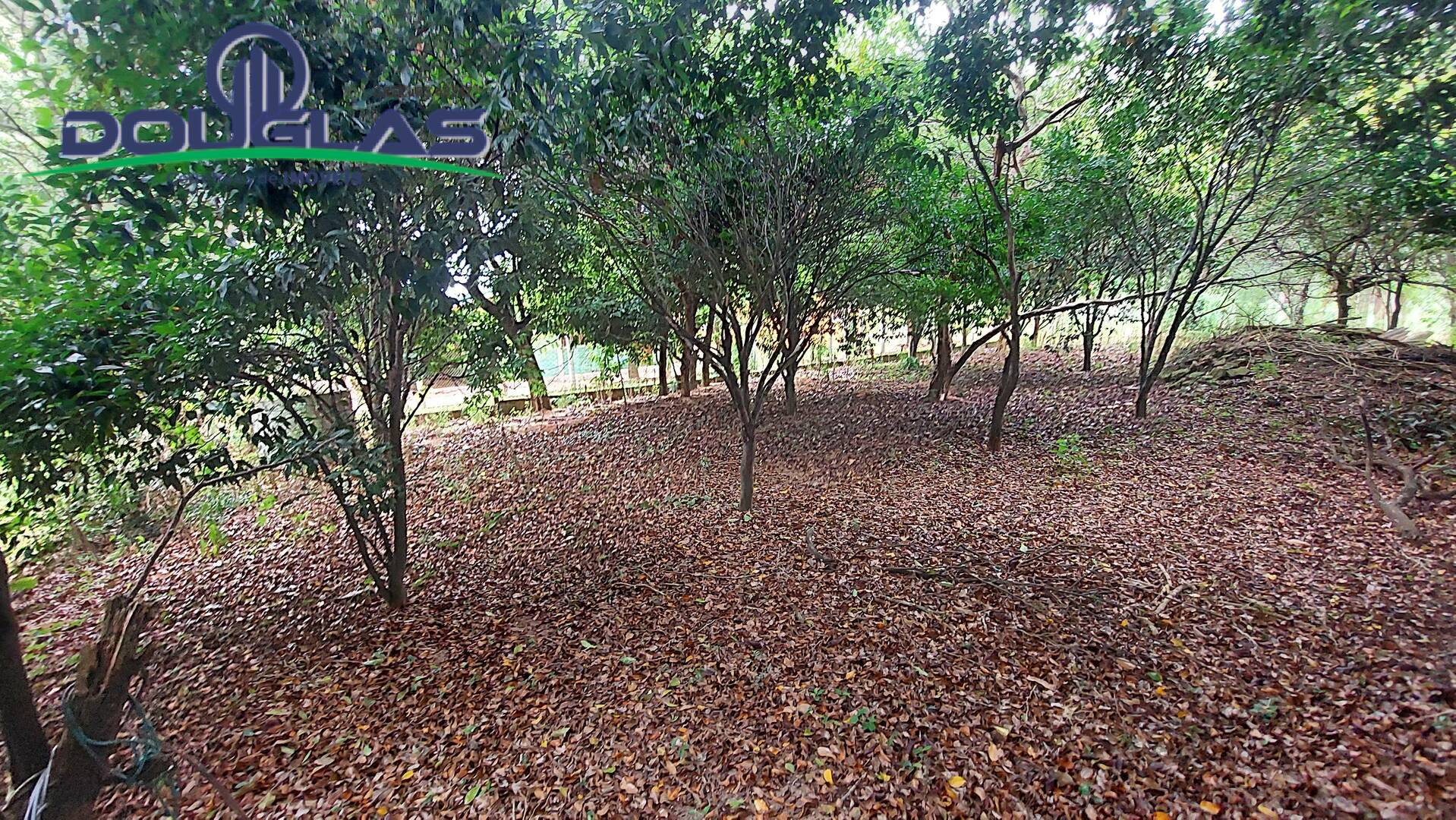 Casa, 2 quartos, 130 m² - Foto 27