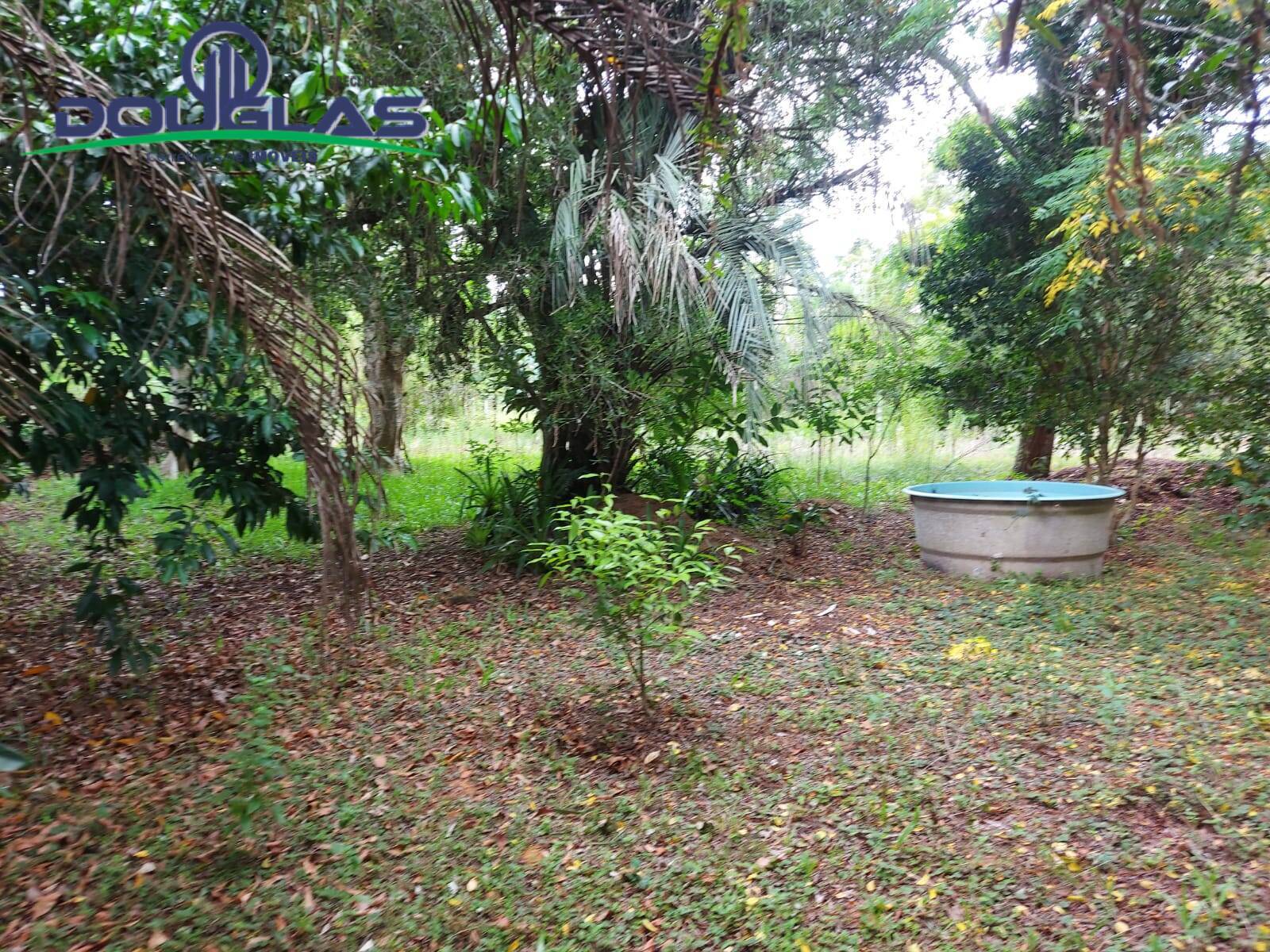 Sítio à venda com 1 quarto, 30000m² - Foto 20