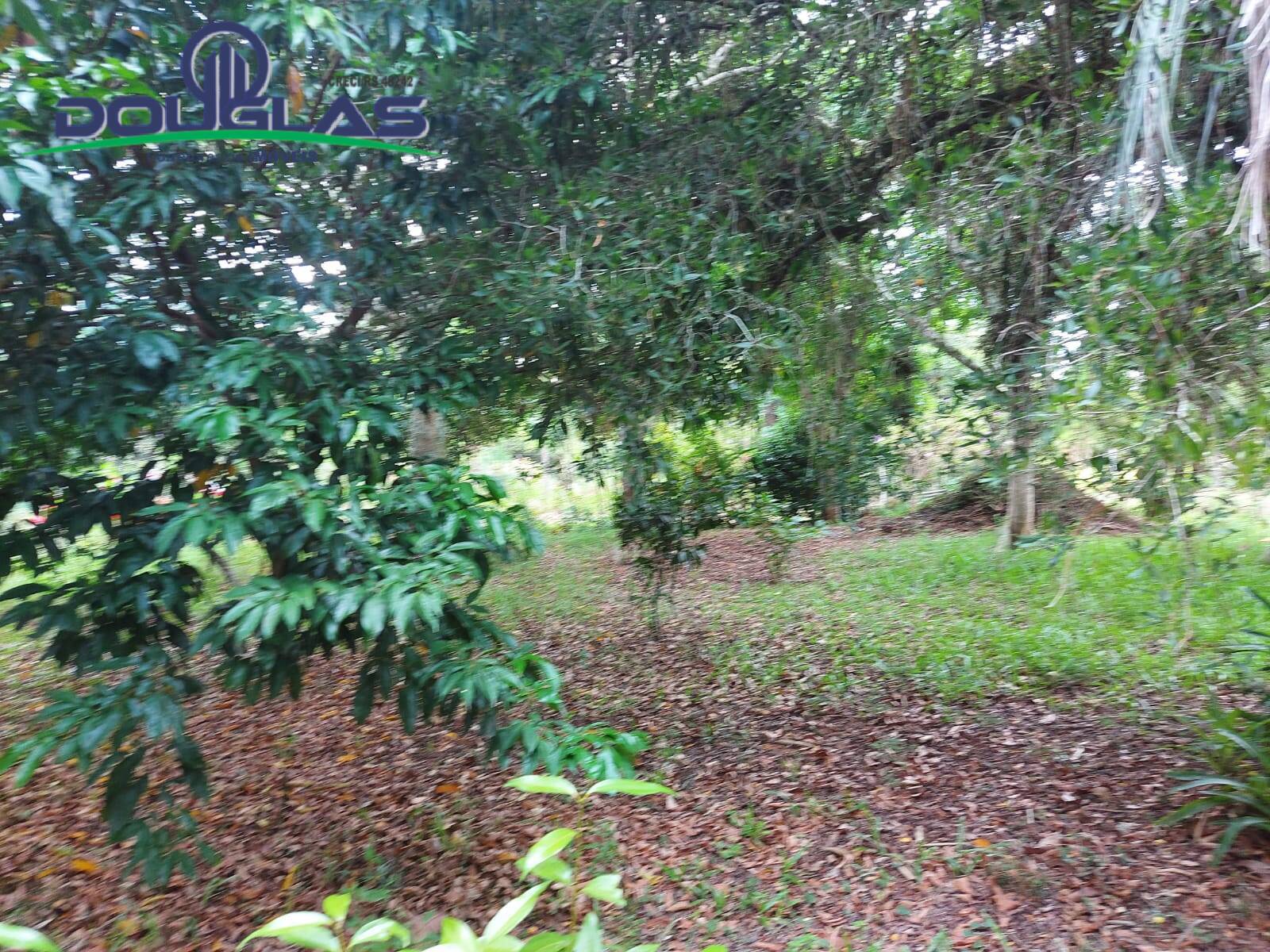 Sítio à venda com 1 quarto, 30000m² - Foto 21