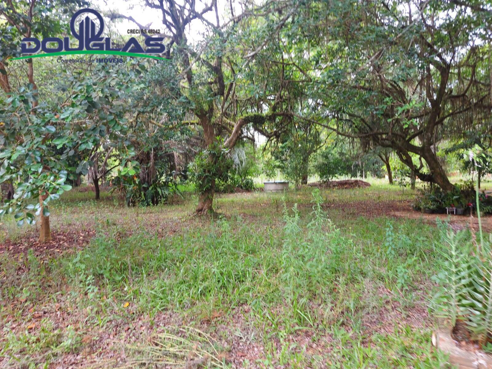 Sítio à venda com 1 quarto, 30000m² - Foto 22