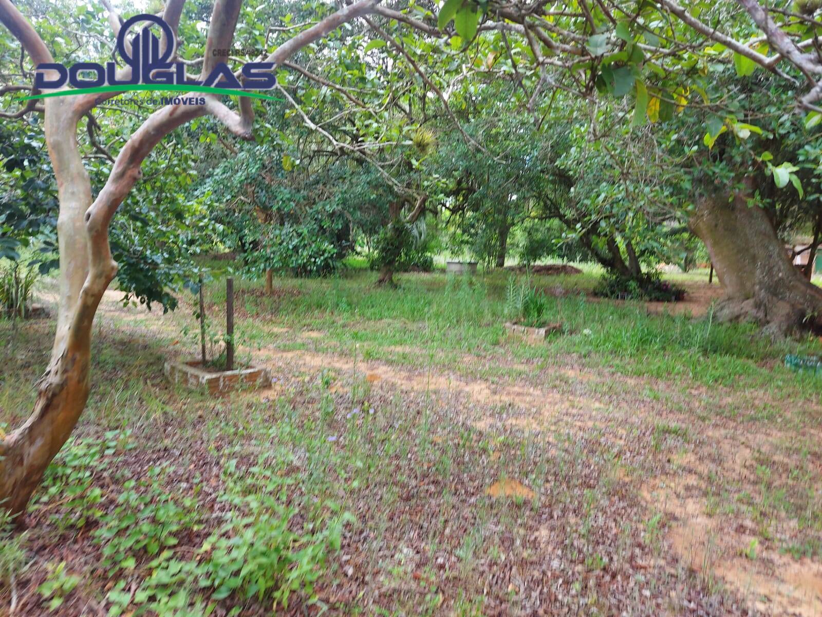 Sítio à venda com 1 quarto, 30000m² - Foto 23