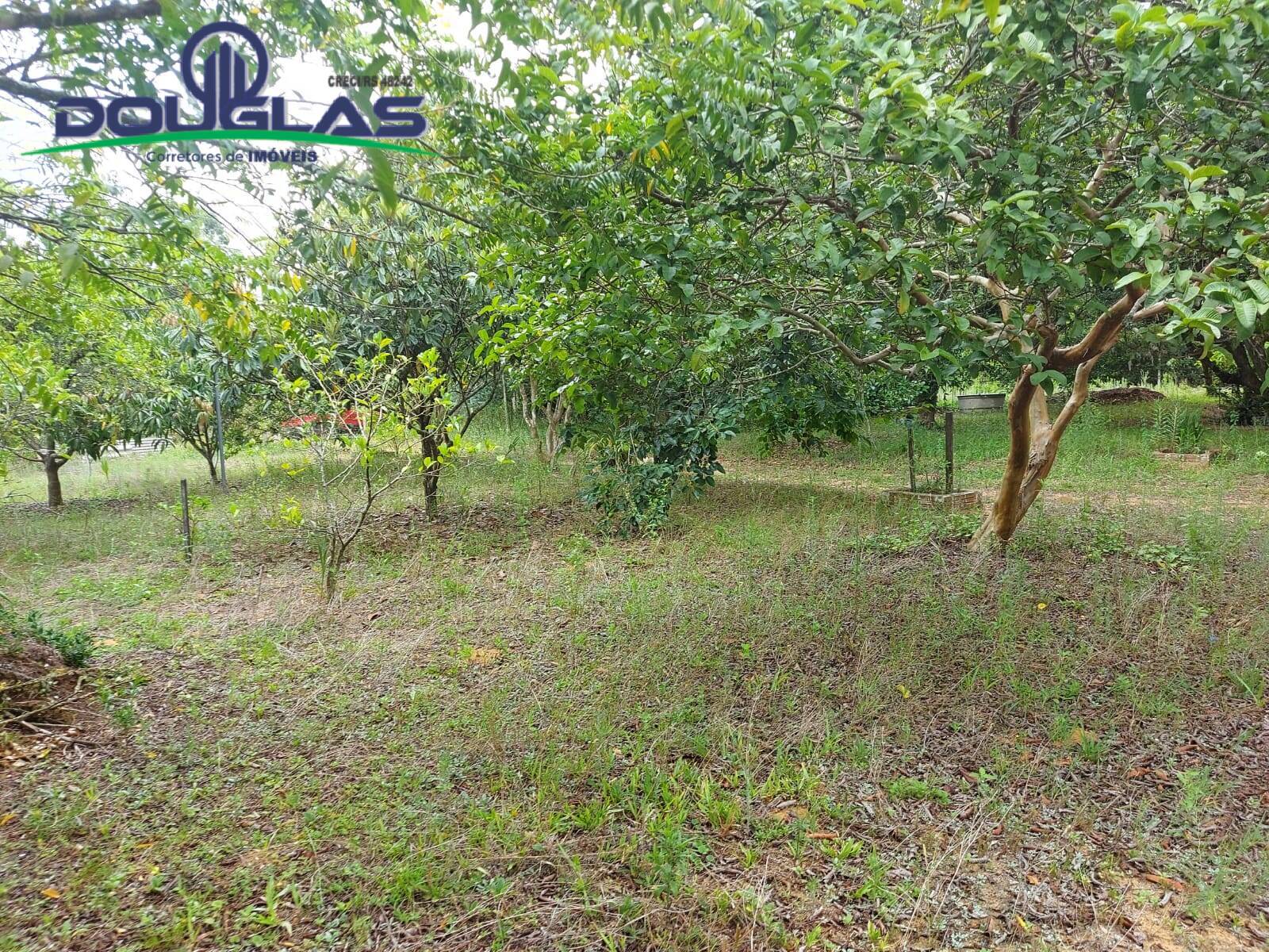 Sítio à venda com 1 quarto, 30000m² - Foto 2