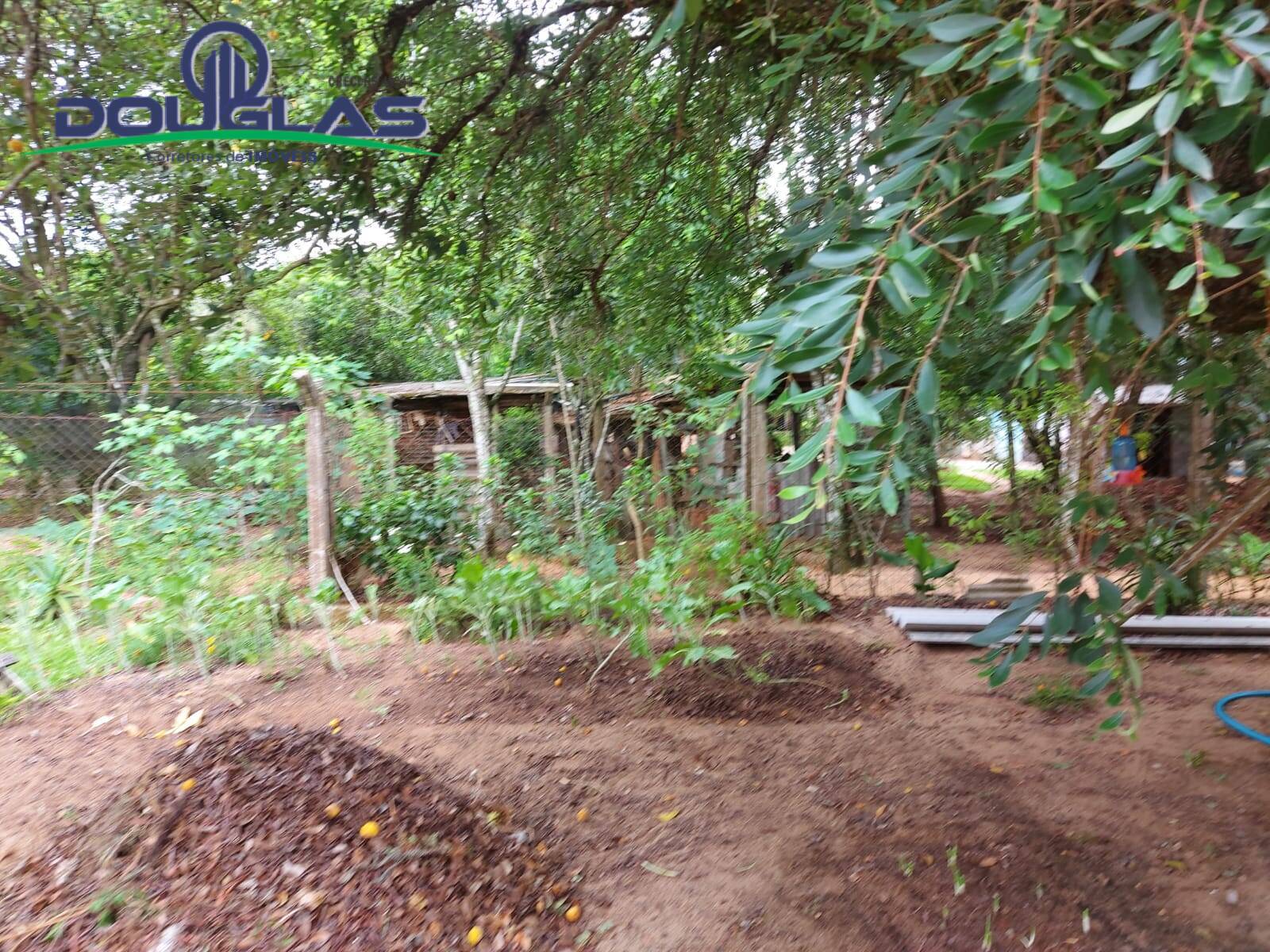 Sítio à venda com 1 quarto, 30000m² - Foto 25