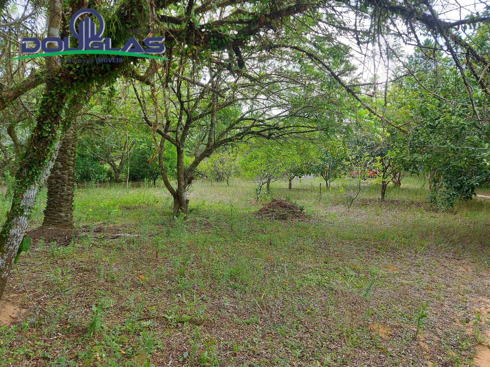 Sítio à venda com 1 quarto, 30000m² - Foto 26