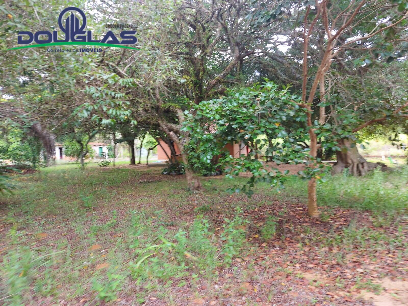 Sítio à venda com 1 quarto, 30000m² - Foto 27