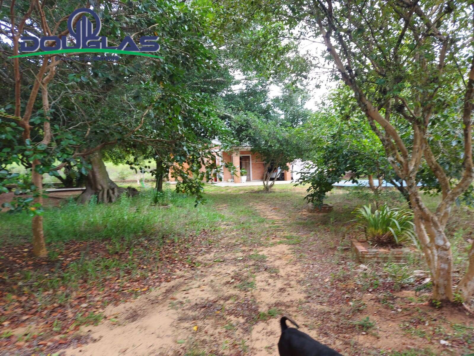 Sítio à venda com 1 quarto, 30000m² - Foto 28