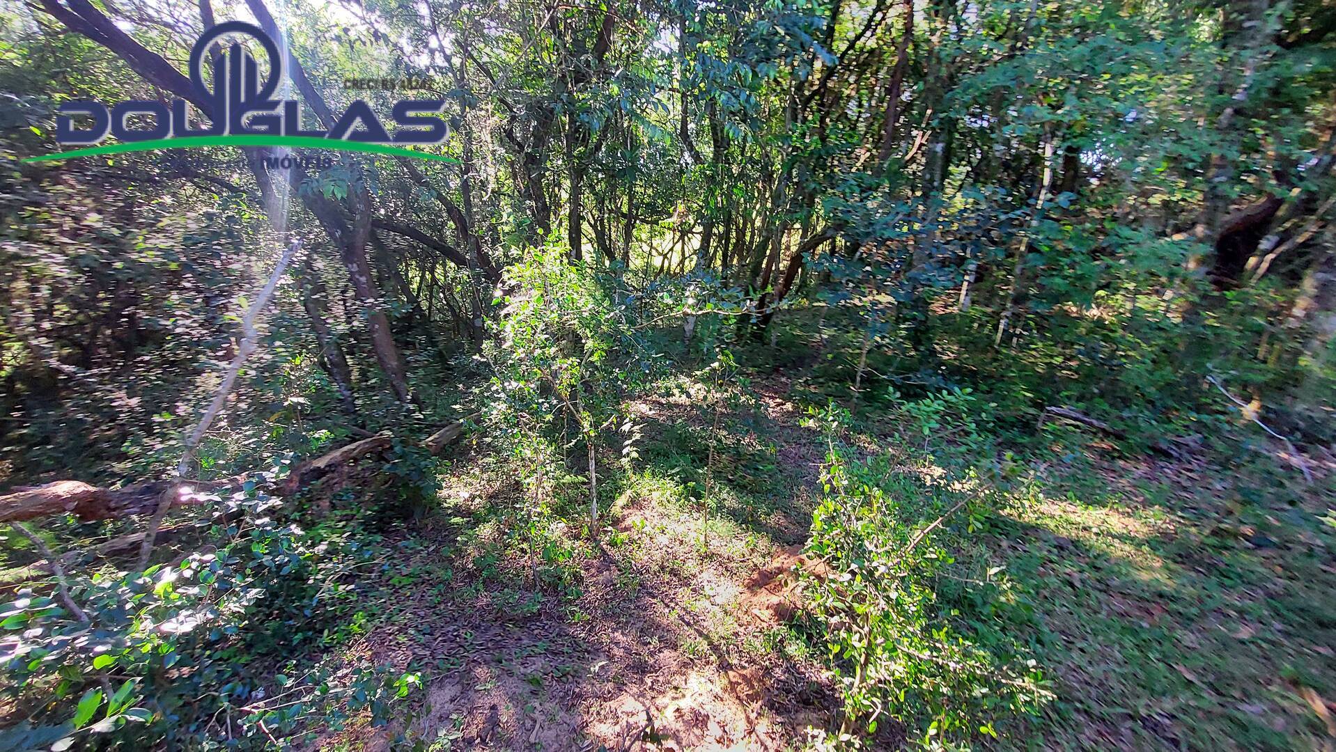 Sítio, 3 quartos, 2 hectares - Foto 25