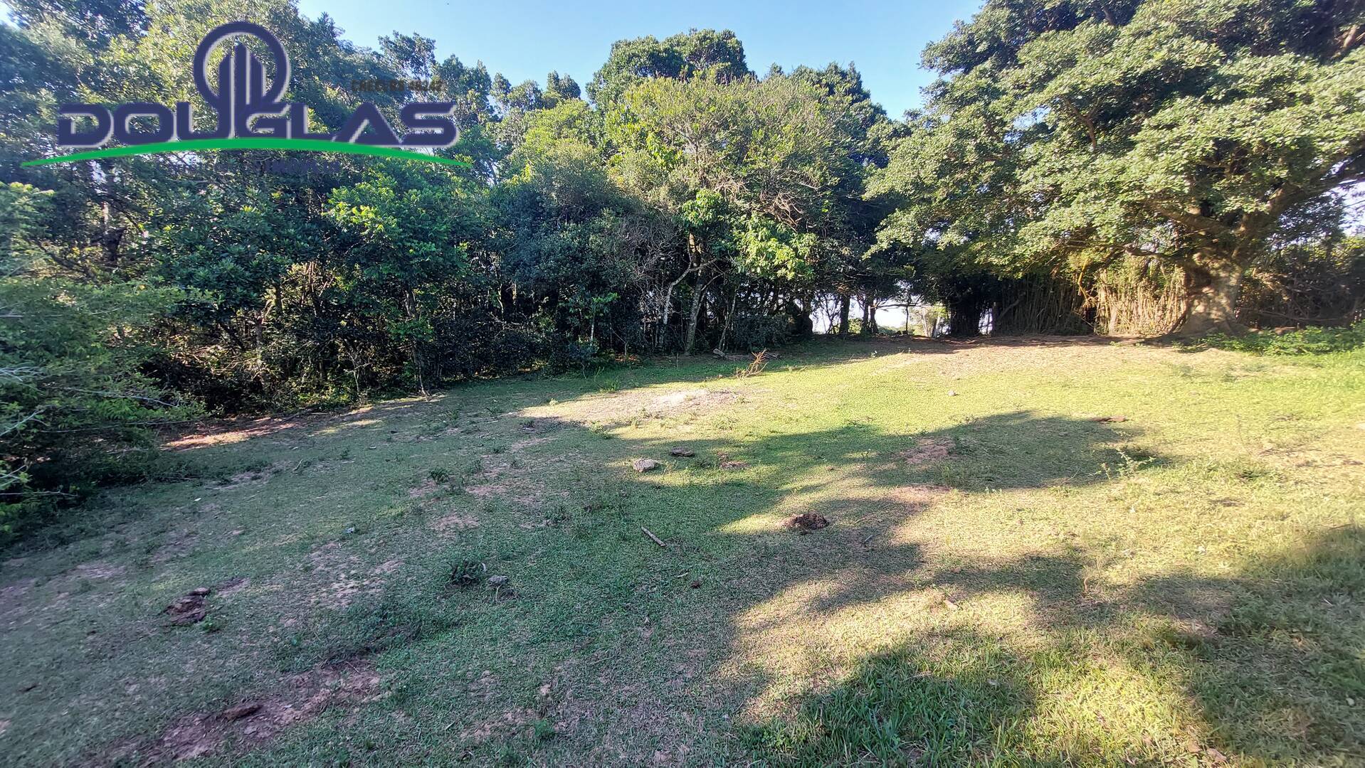 Sítio, 3 quartos, 2 hectares - Foto 29