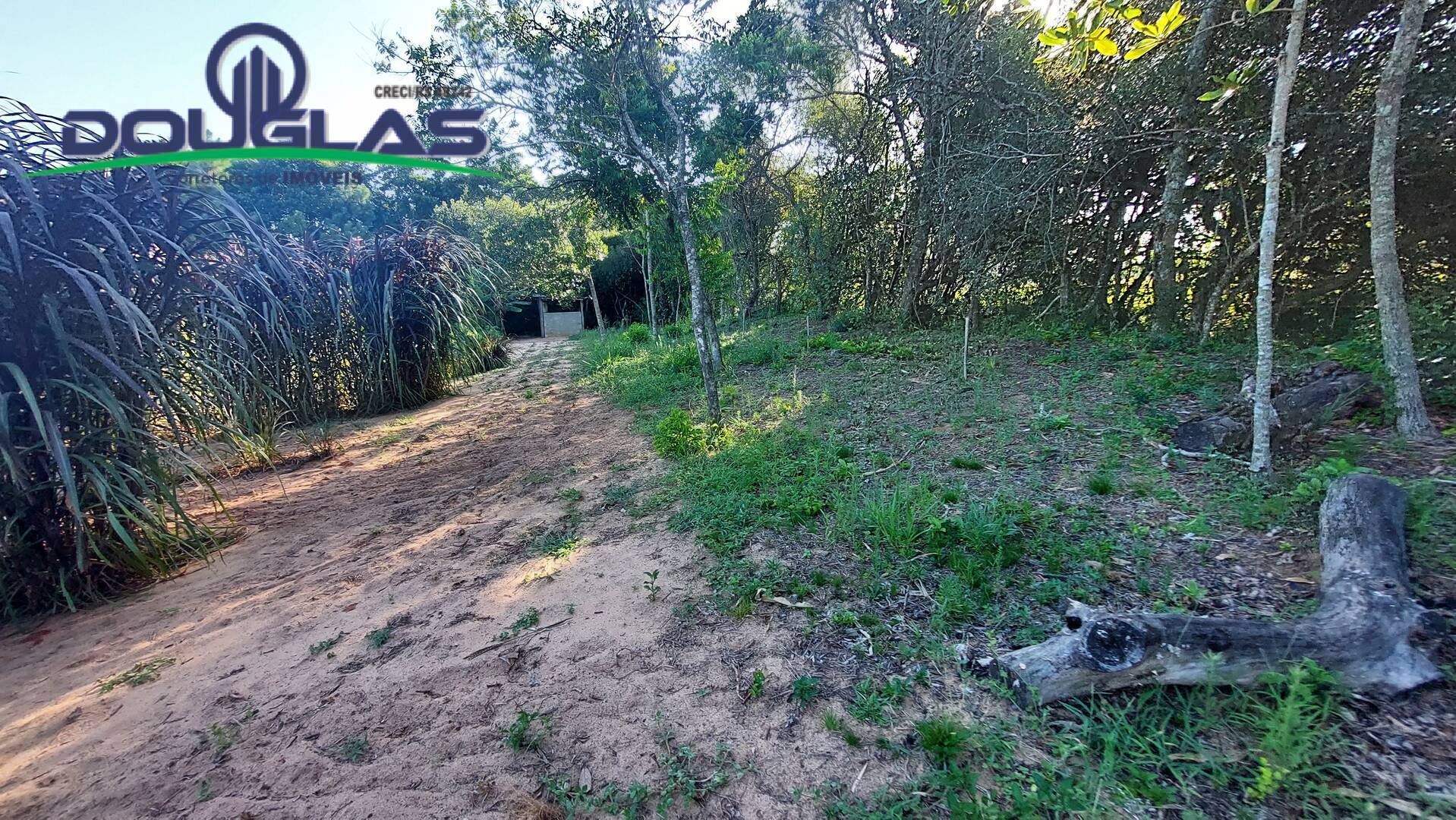 Sítio, 3 quartos, 2 hectares - Foto 32