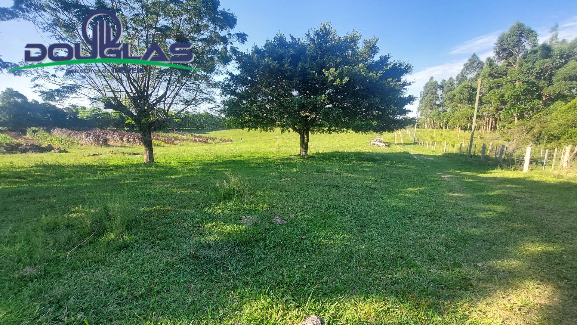 Sítio, 3 quartos, 2 hectares - Foto 37