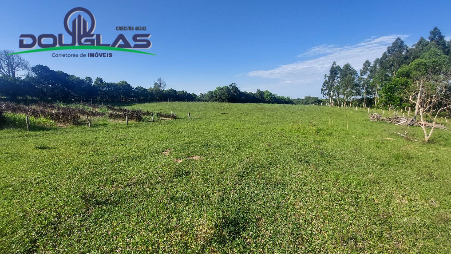 Sítio, 3 quartos, 2 hectares - Foto 39