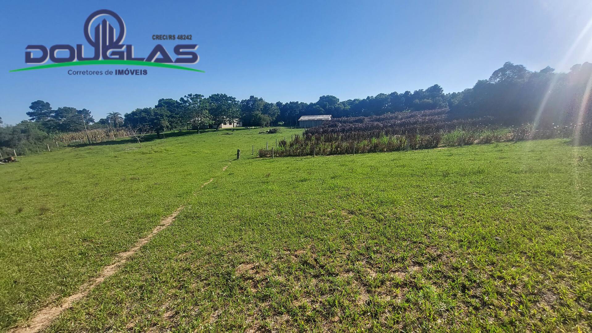 Sítio, 3 quartos, 2 hectares - Foto 40