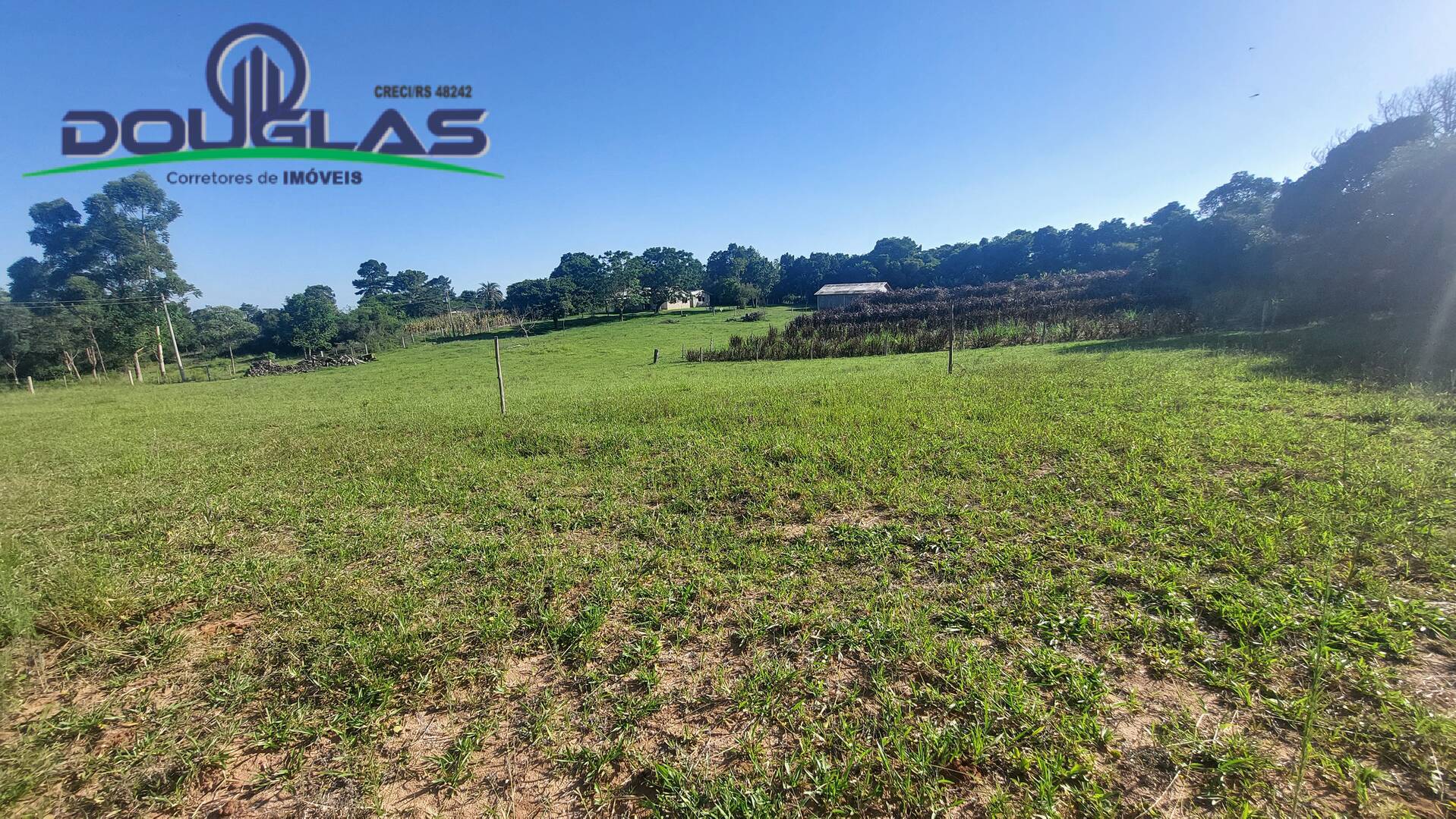 Sítio, 3 quartos, 2 hectares - Foto 41