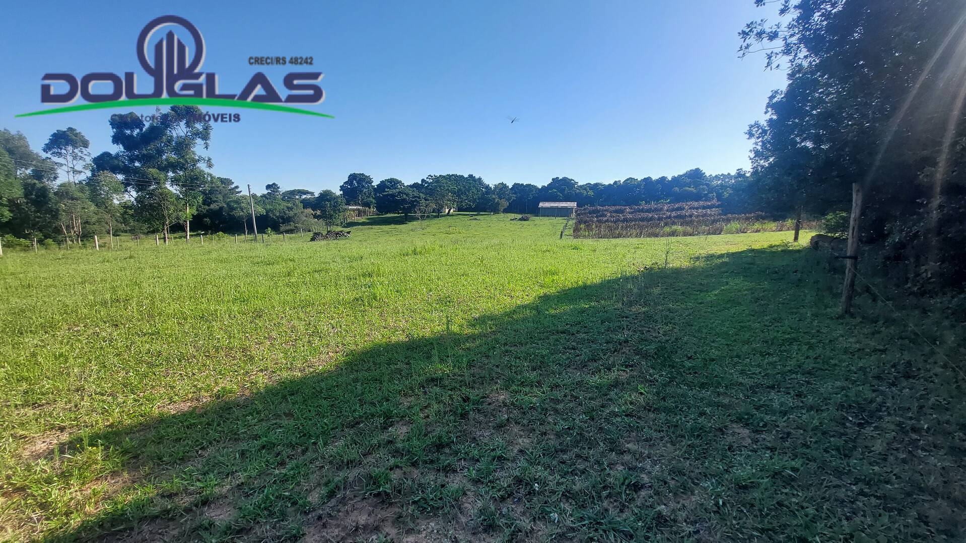 Sítio, 3 quartos, 2 hectares - Foto 42