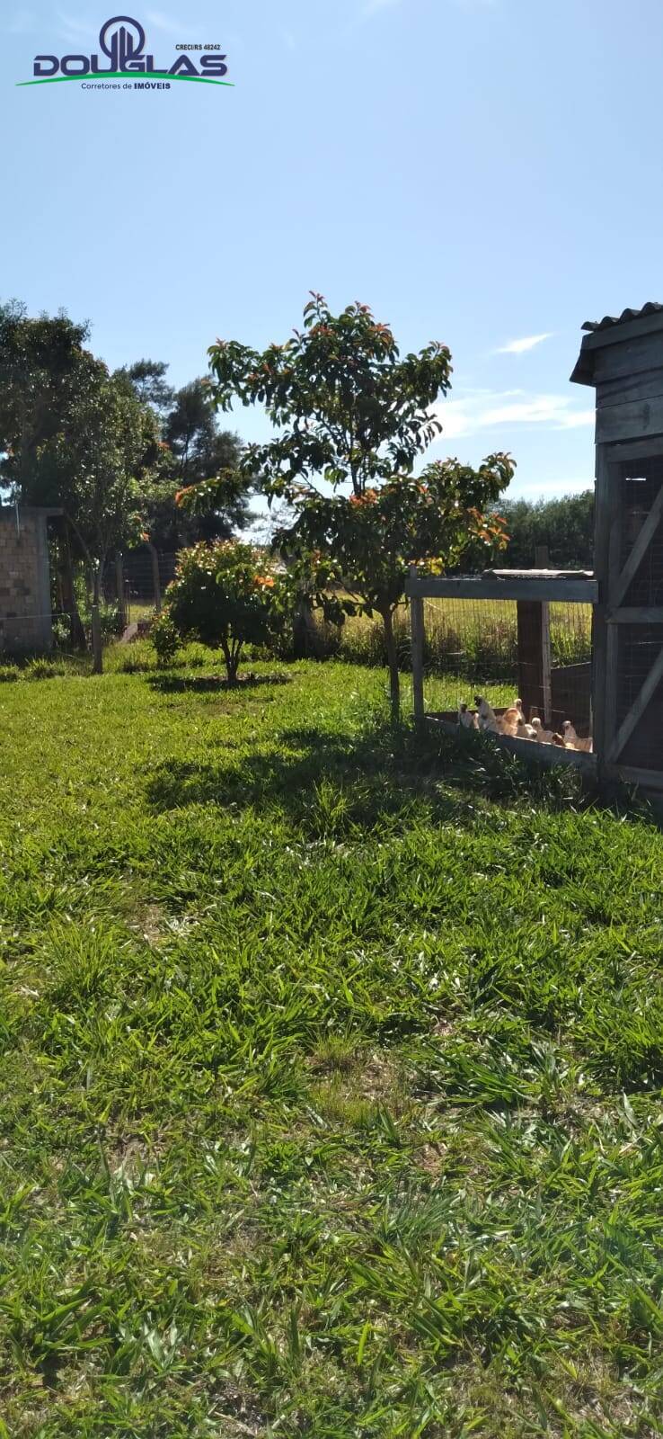 Terreno, 3050 m² - Foto 12