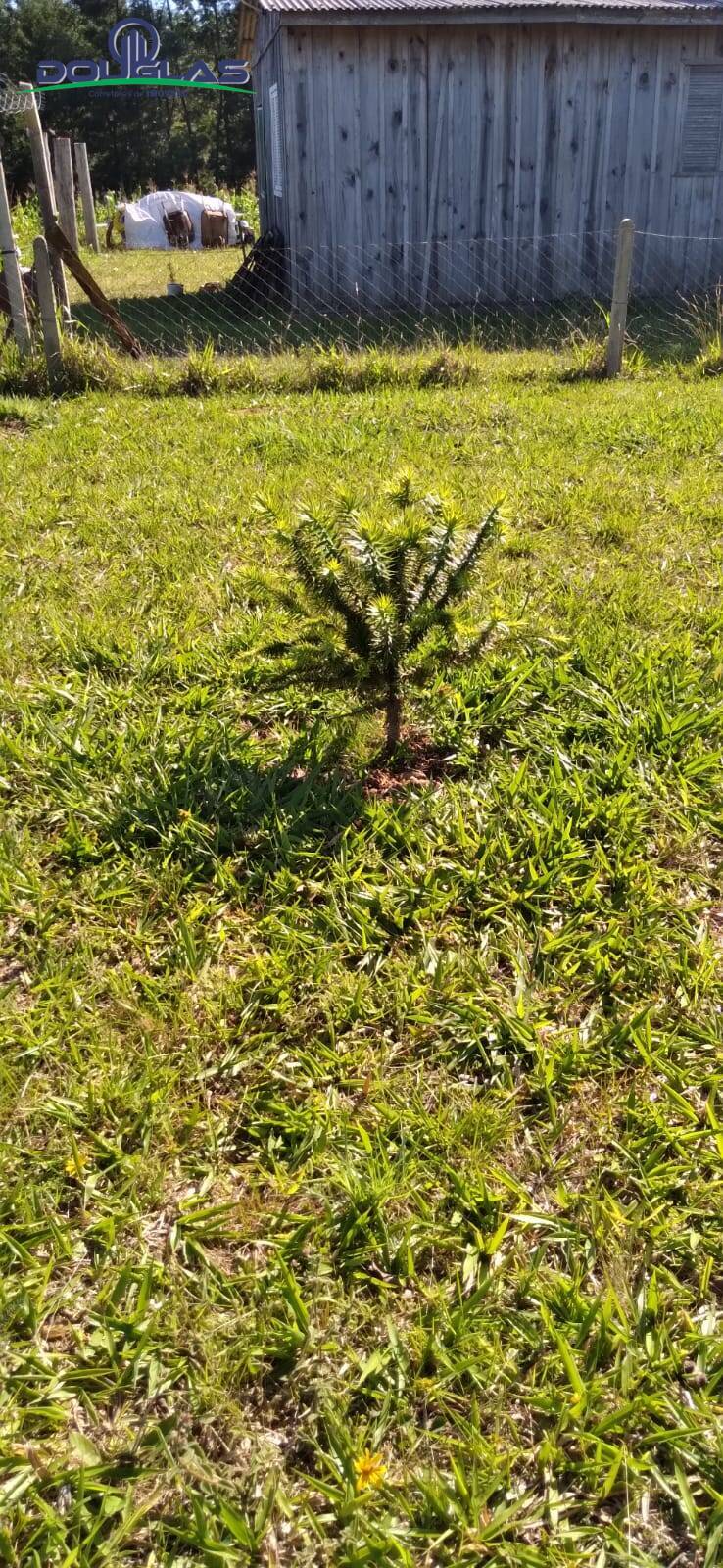 Terreno, 3050 m² - Foto 13