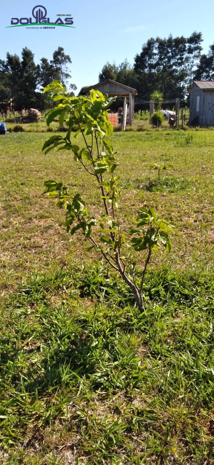 Terreno, 3050 m² - Foto 14